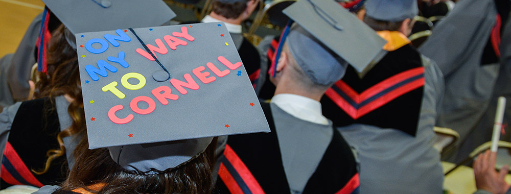 cornell-grad-web
