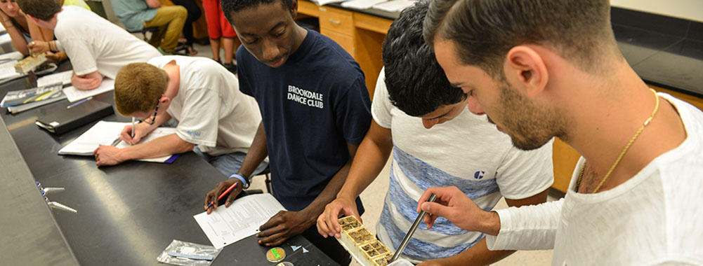 desantis_lab_1000x380