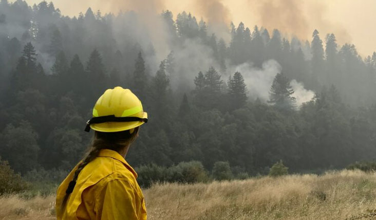 Katrina looks out in the smoky aftermath of a wildfire.