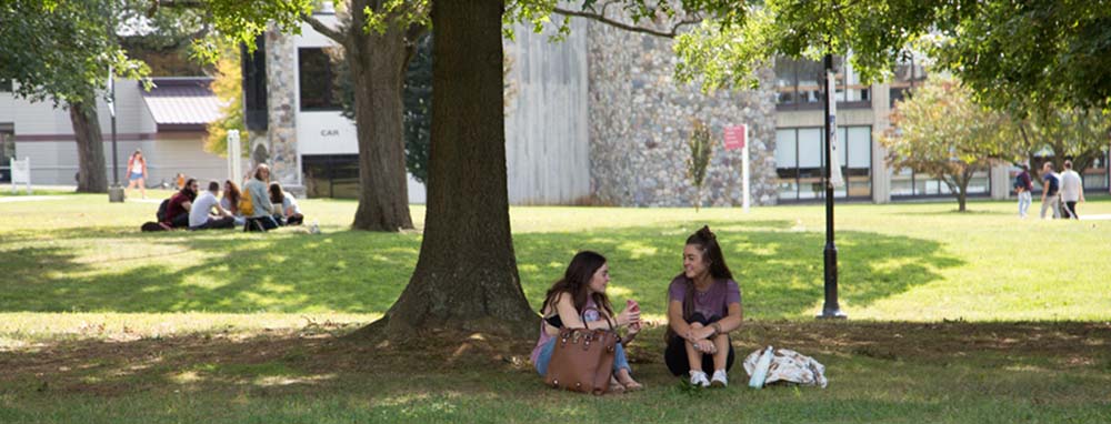 fa17-tree-two_1000x380 Students sitting under a tree talking