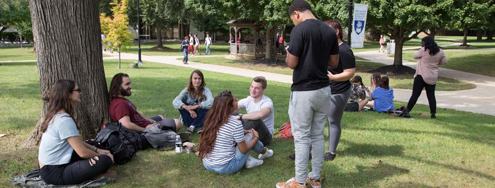 students sitting on the lawn