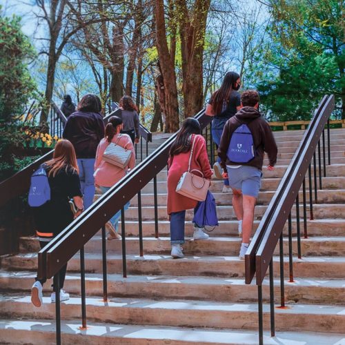 a group of students with backpacks on walking up stairs