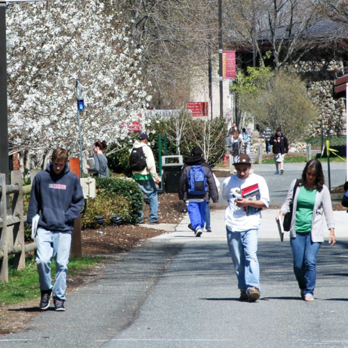 students walking on campus carrying books and spring blooms on the trees
