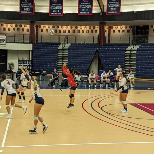 Women's volleyball team in action.