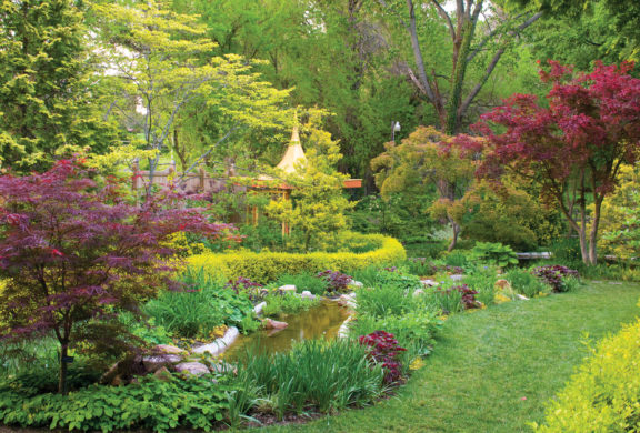 A beautiful lush garden. Lots of green, yellow and spots of red foliage.