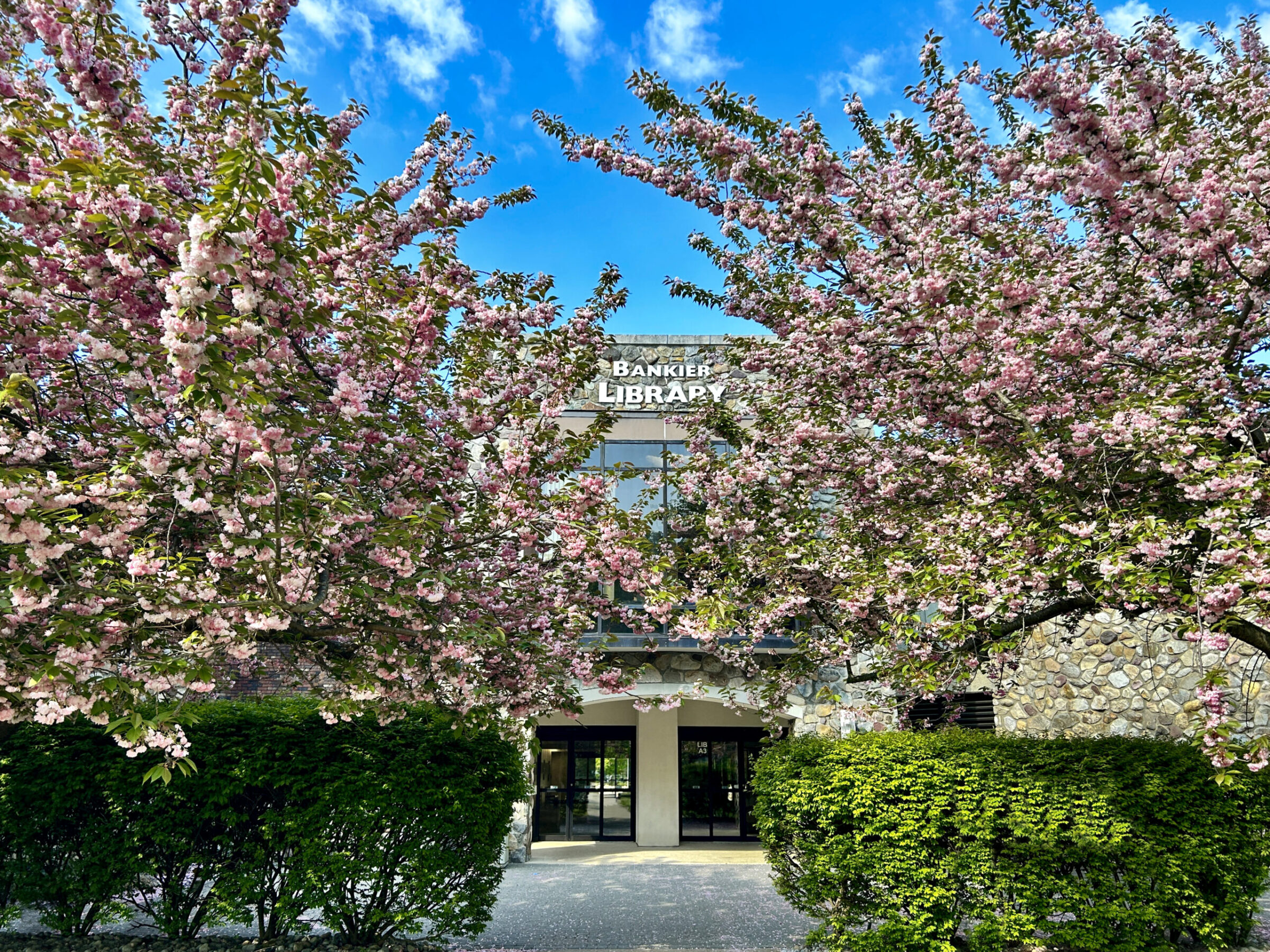 Bankier Library - Brookdale Community College