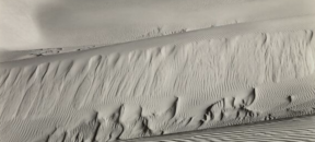 photograph that looks like waves in the sand by Edward Weston named Dunes