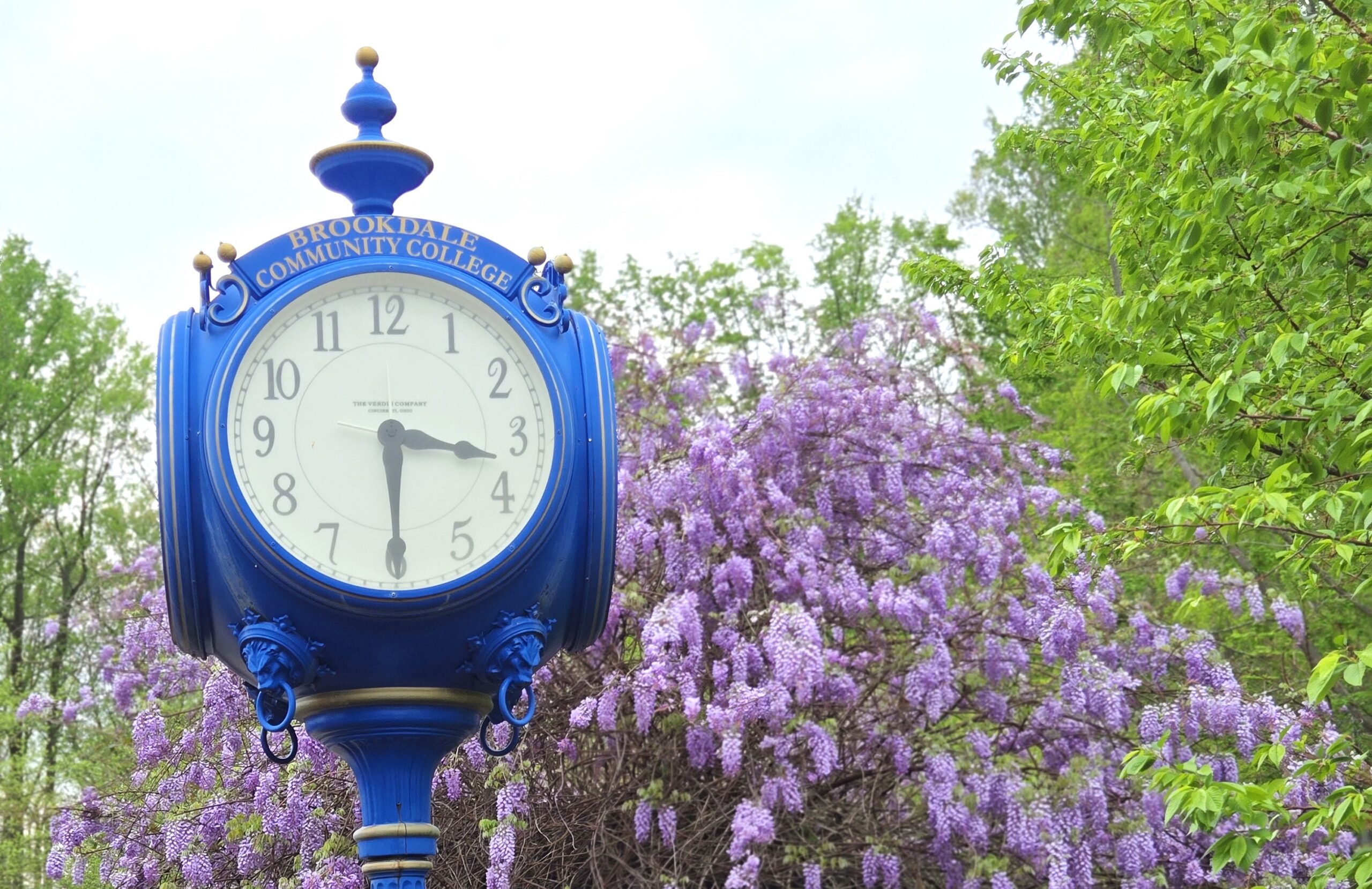 Lifelong Learning Brookdale Community College Courses