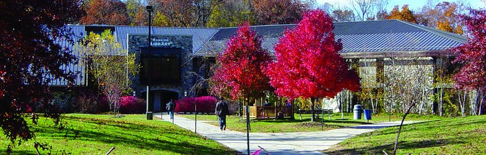 People walking on campus with trees